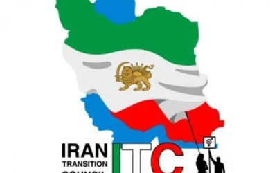 نقد دیدگاه شورای گذار بر پایه …